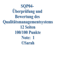 Cover - SQP04- Überprüfung und Bewertung des Qualitätsmanagementsystems